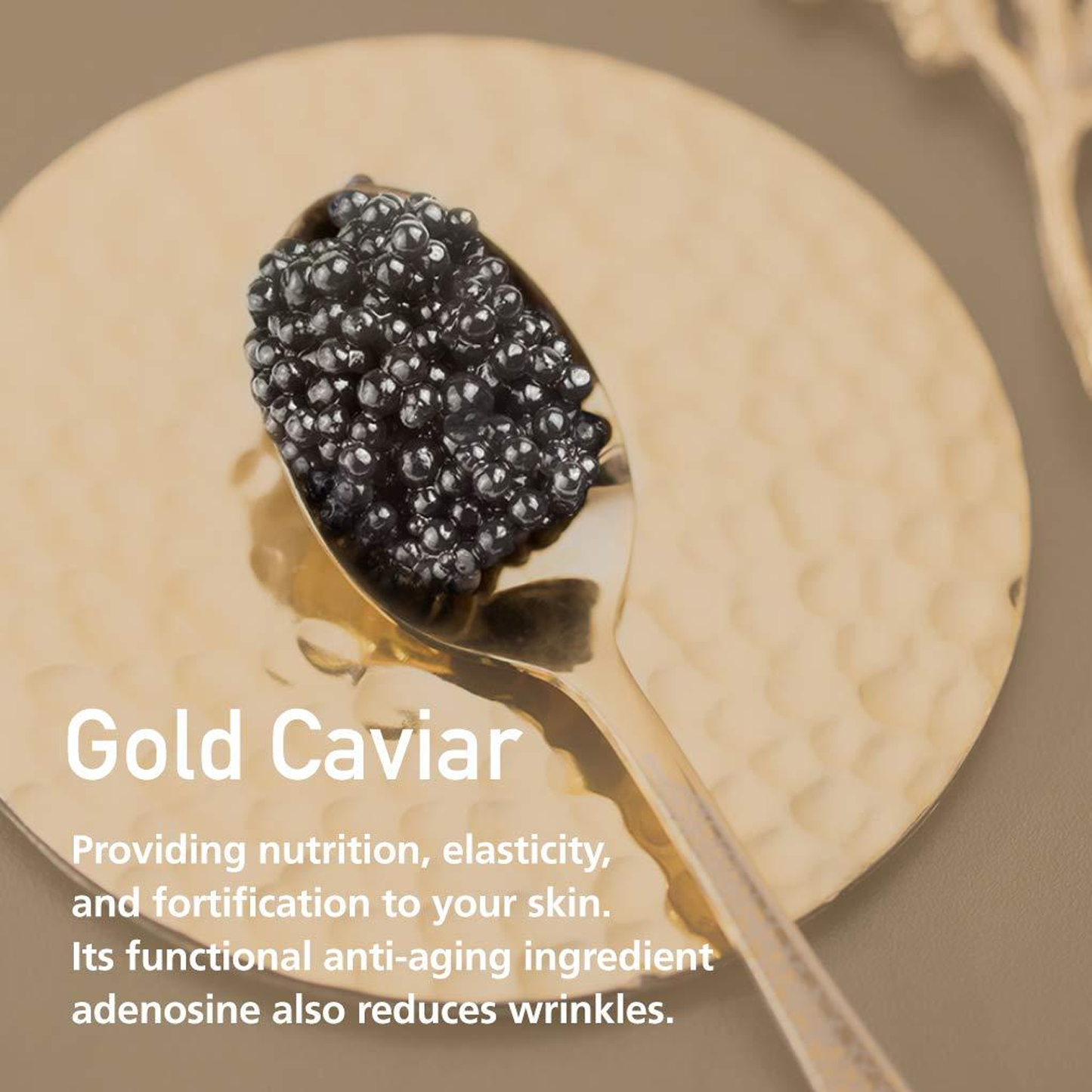 SKINFOOD Gold Caviar EX Cream, 50ml - mod de utilizare K-Beauty | SkinCare Korea